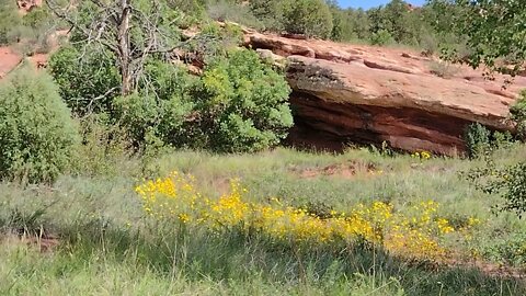 Garden of the Gods Cabin Canon trail #14 parking lot 1