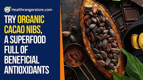 TRY ORGANIC CACAO NIBS, A SUPERFOOD FULL OF BENEFICIAL ANTIOXIDANTS