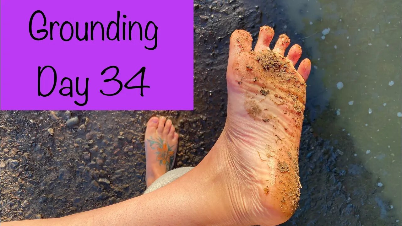 Grounding Day 33 - free reflexology