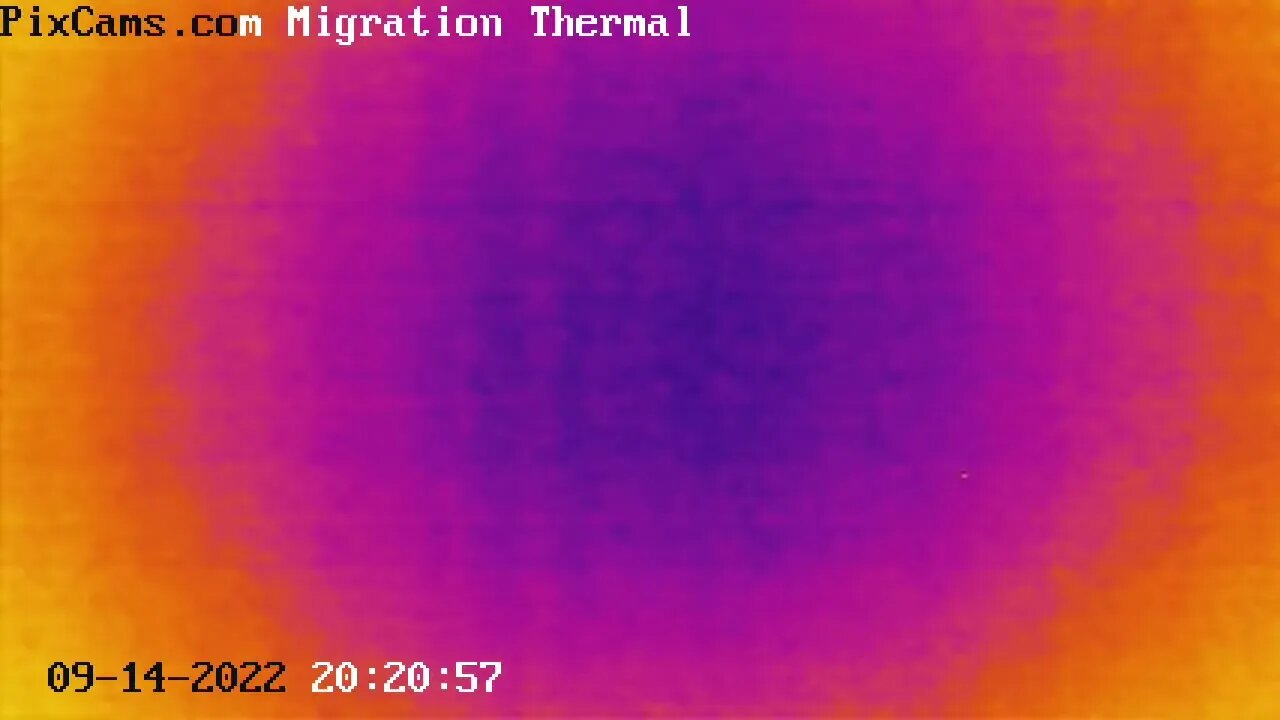 Fall Migration 2022 Thermal Camera - 9/14/2022 - 26 birds in 10 minutes