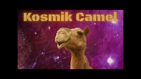 Lofi Music Mix | Kosmik Camel Salute | Isaac M