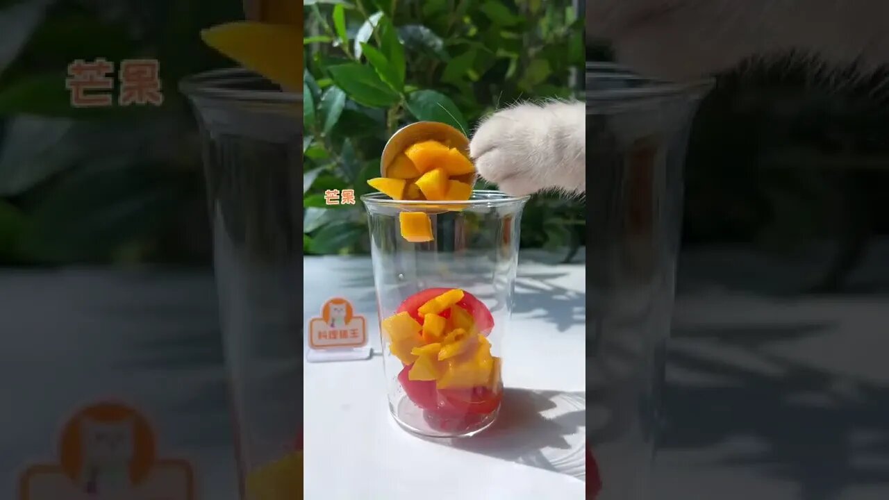 The cat makes delicious juice #shorts #viral