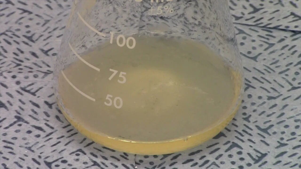 CHM1032L Unit 12 Lipids Experiment Video