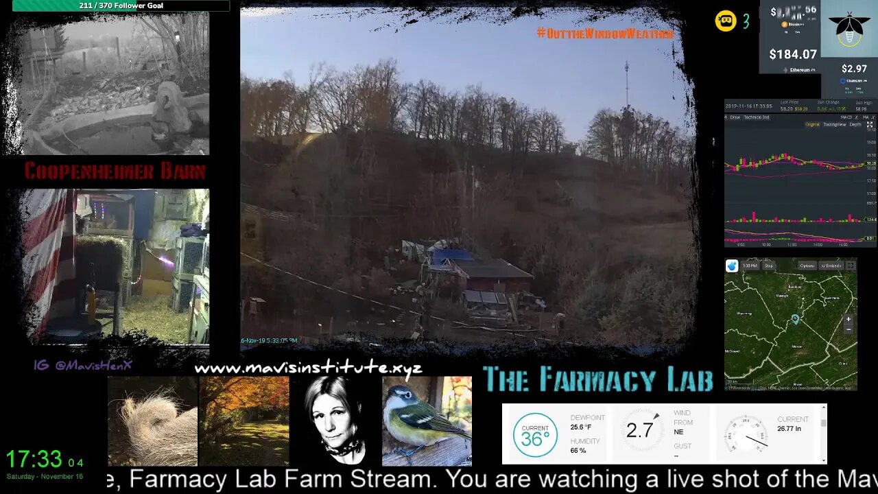 Playing on other ppl stream - Fun Conversation