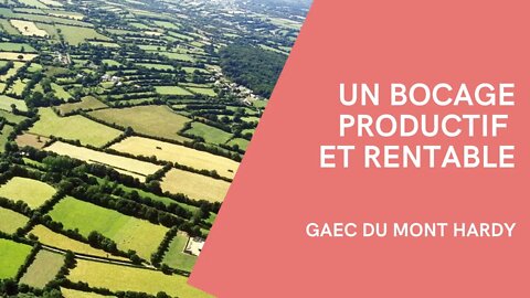 Un bocage productif et rentable - GAEC du Mont Hardy