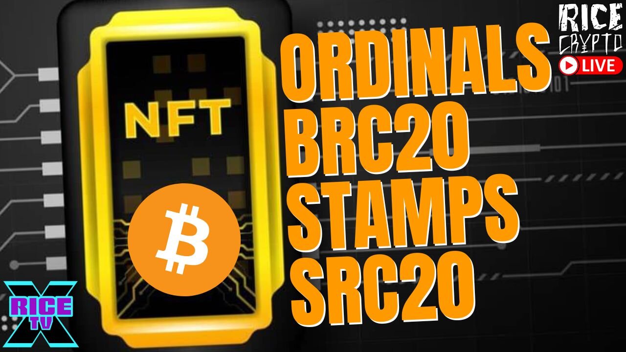 Bitcoin NFTs & Meme Coins Are Here With Ordinals & Stamps