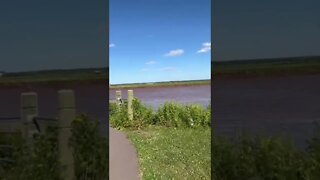 Petitcodiac River in Moncton NB