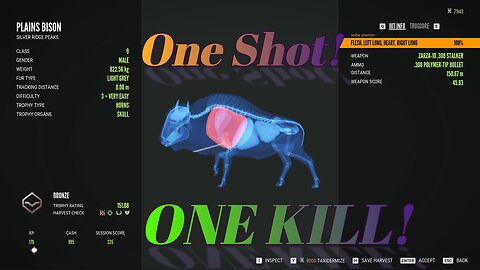 One Shot, One Kill Bison Hunting in Hunter Call of the Wild