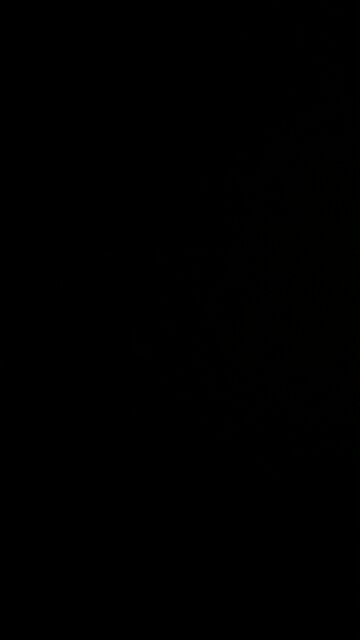 Open arms to illegals