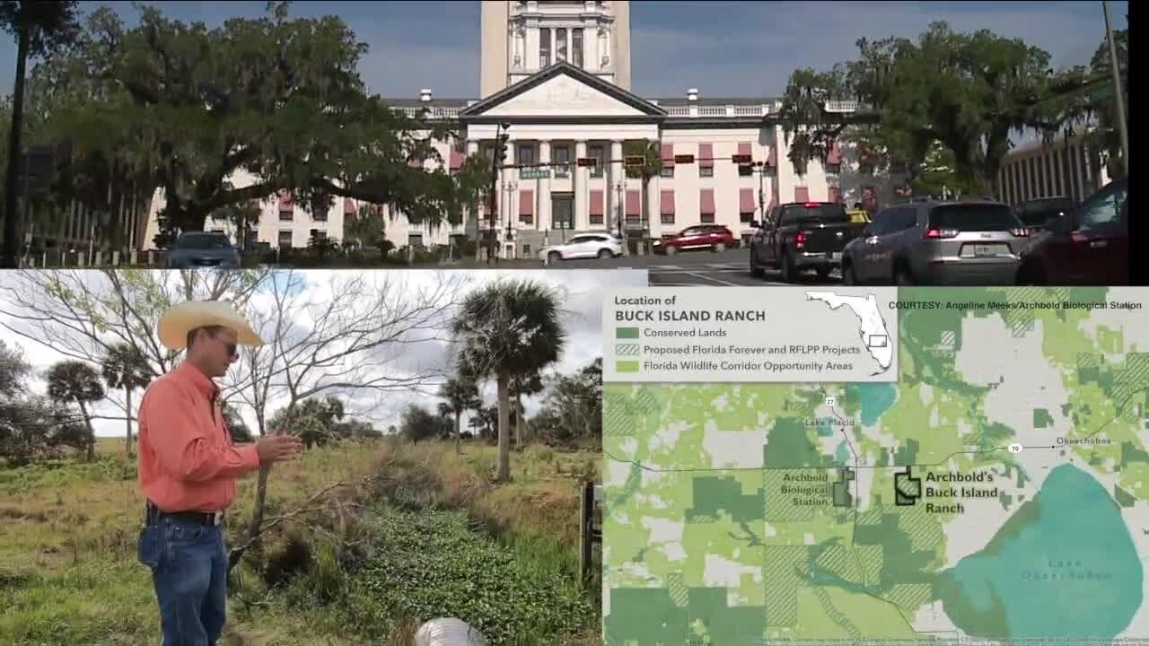 Protecting and studying animals living in the Florida Wildlife Corridor