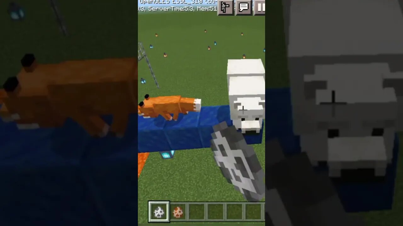 Bhallu or Fox ka kitna IQ hota h || #shorts #minecraftpe