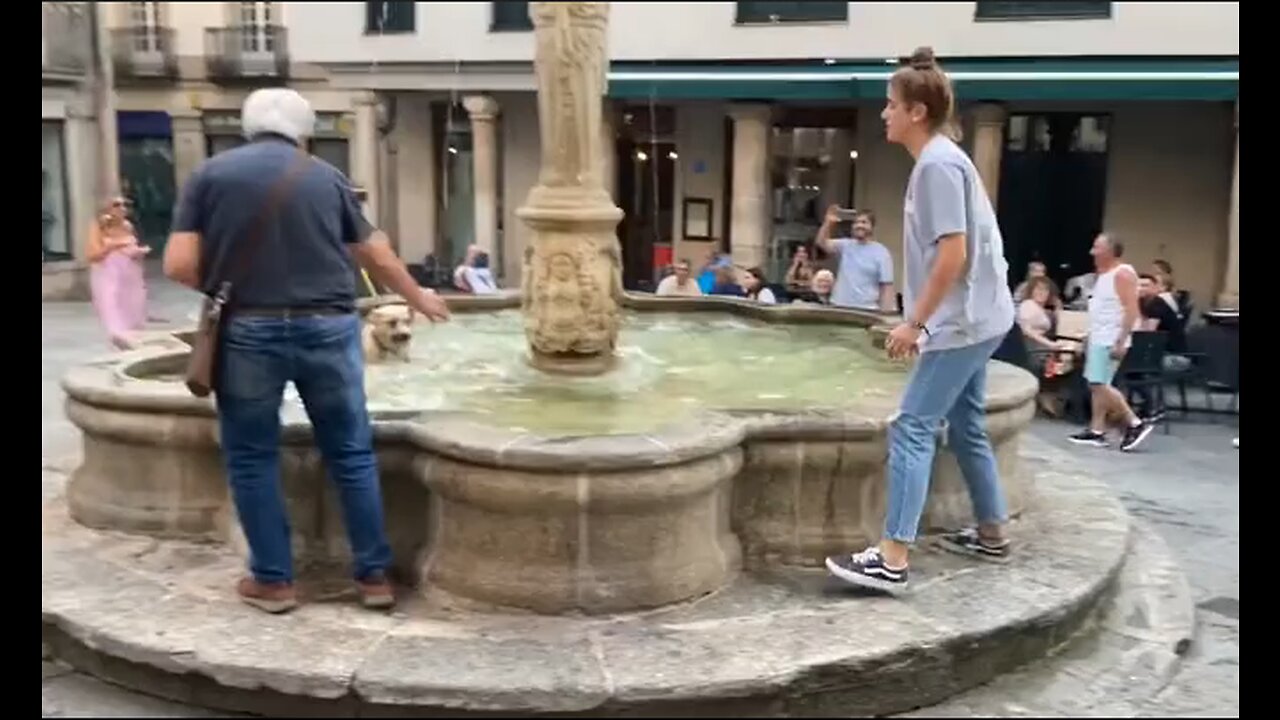 Dog Is Having Too Much Fun In The Fountain - HaloRock