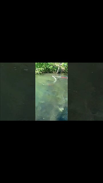 living my best life for real!