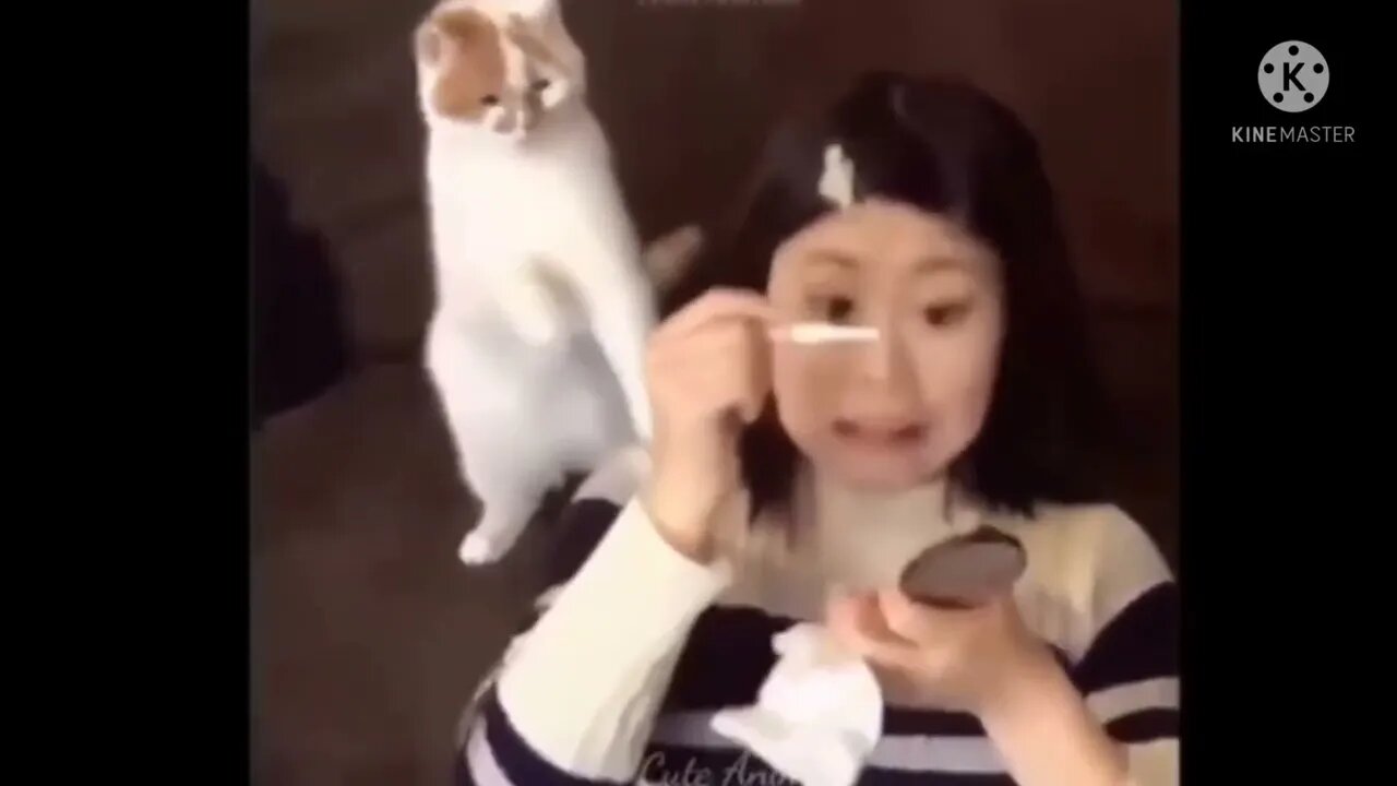 funny video new, new funny video, funny video 2022 new