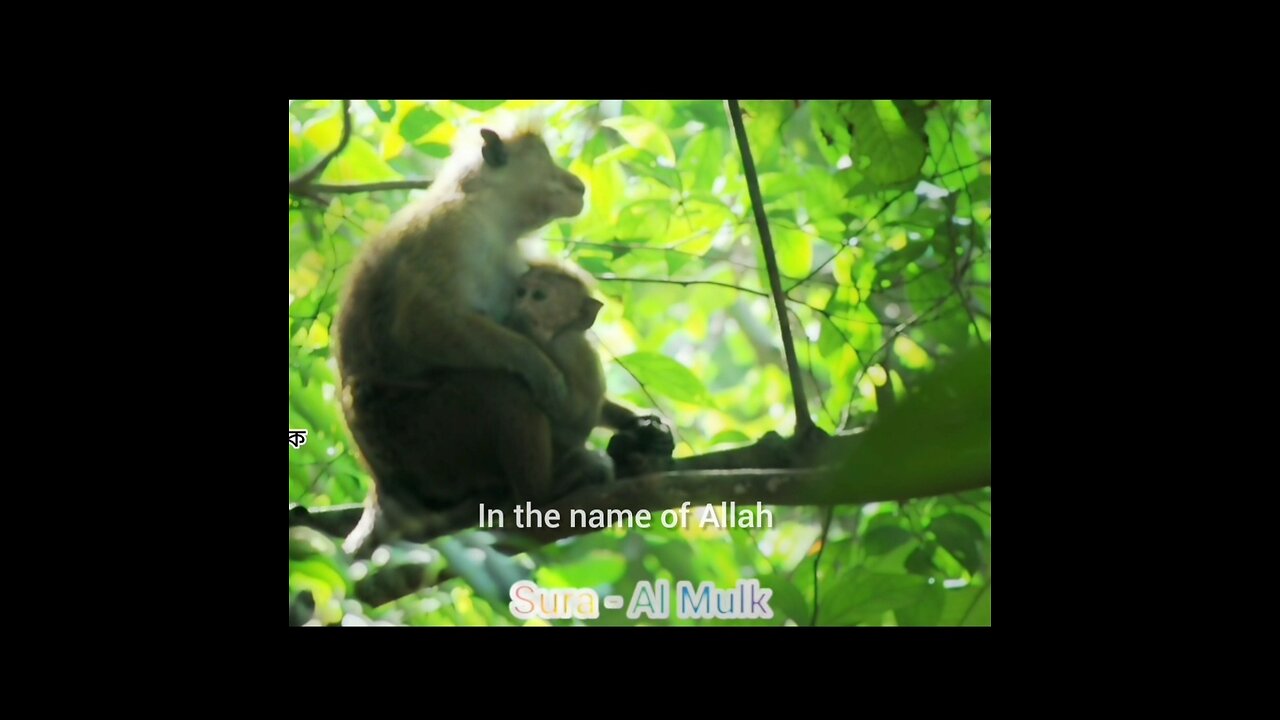 মনোমুগ্ধকর কোরআন তিলাওয়াত 💐 সূরা - আল মুলক