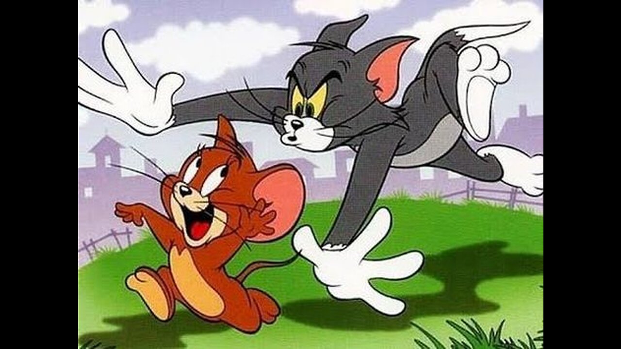 Tom and Jerry Cartoon