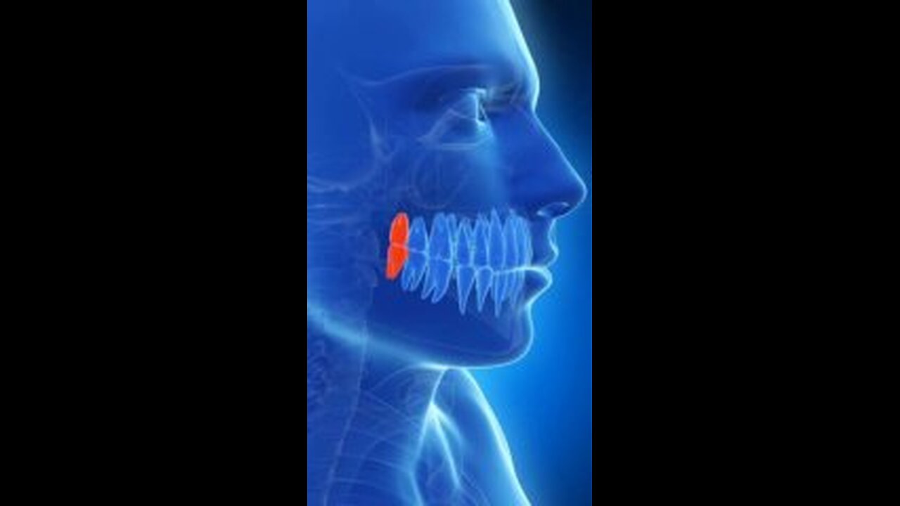 Wisdom teeth have connections to important parts of the central nervous system, such as...