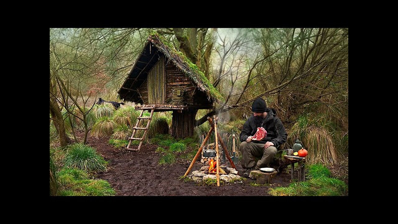 Building wood survival shelter in wildlands | Bushcraft & Campfire grilled meat