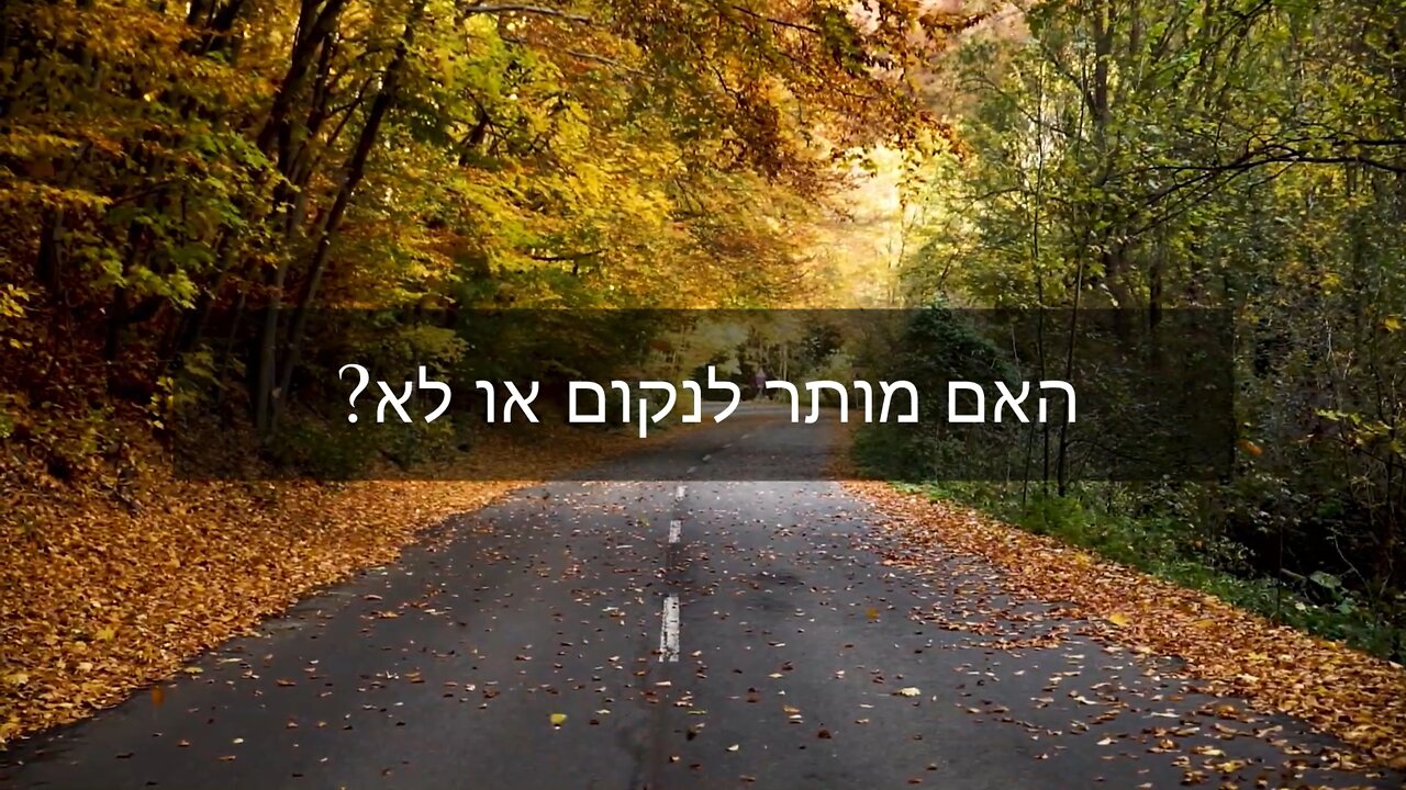 ?אפילו האחדות הנצחית אוהבת את השיעור הזה - האם מותר לנקום או לא
