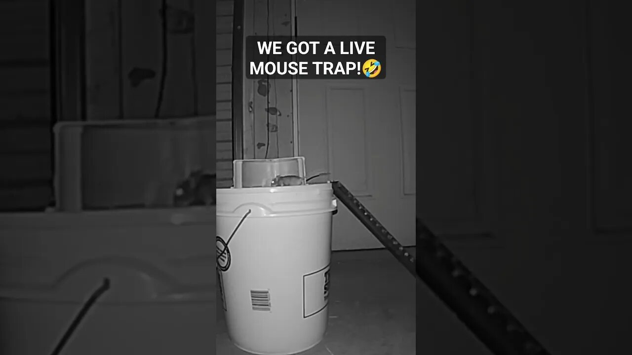 😲It Works!