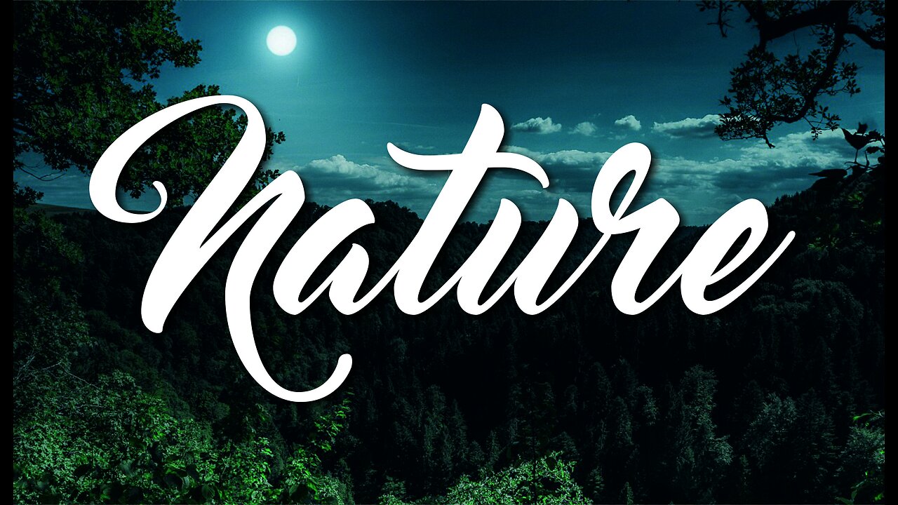 nature 2