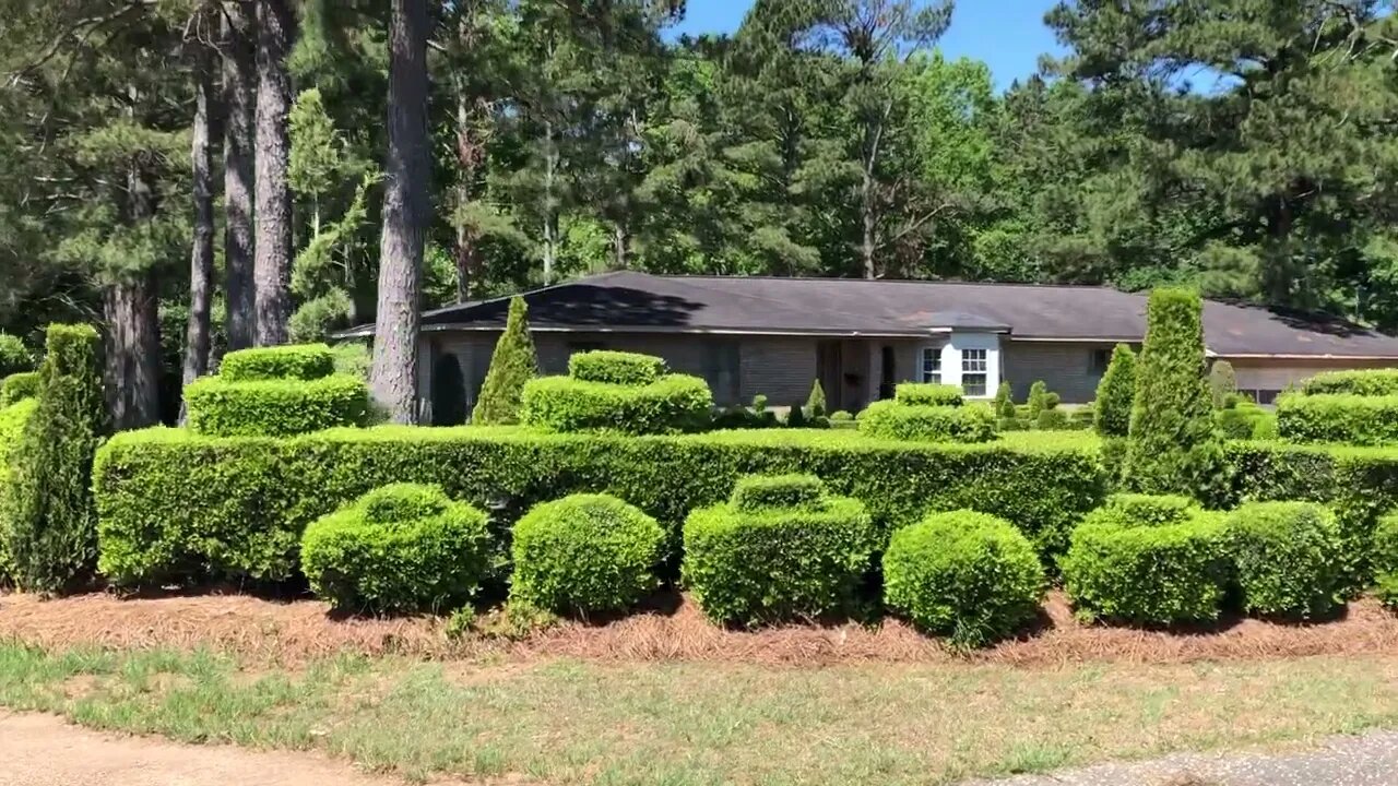 What is a topiary? Walk (Ride!) with me, Steve Martin, and find out!