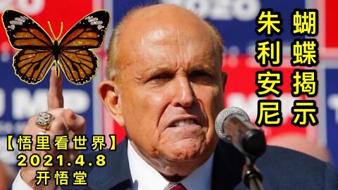 KWT1465蝴蝶揭示朱利安尼20210408-5【悟里看世界】