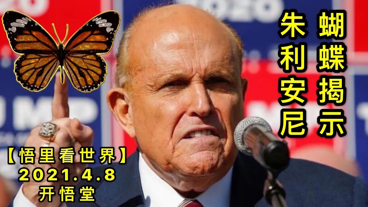 KWT1465蝴蝶揭示朱利安尼20210408-5【悟里看世界】