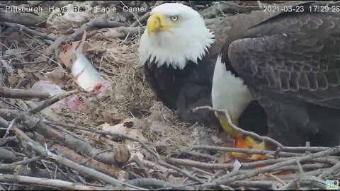 Hays Eagles Dad brings in a Goldfish 2021 03 23 17:28