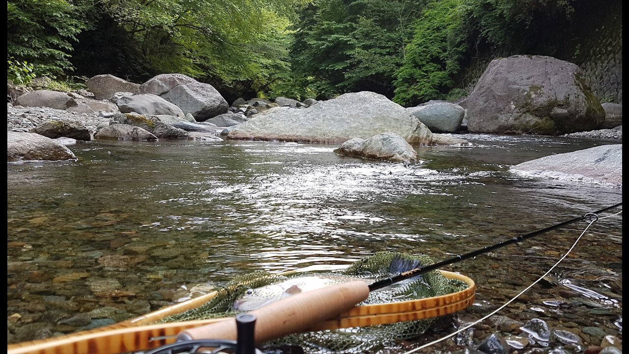 Fly Fishing a Small Mountain Stream in Japan, June 19th 2018