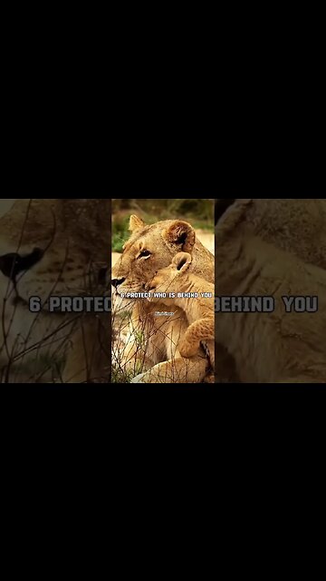 Rules every man should follow #viral