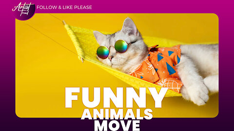 Funny animal videos. Funny animals move