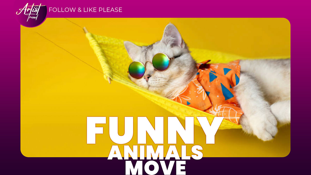 Funny animal videos. Funny animals move