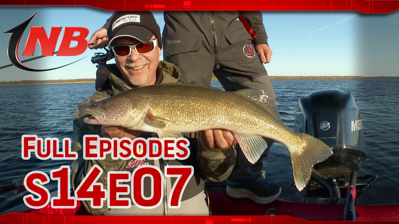 Season 14 Episode 7: Fall Leech Lake Walleyes