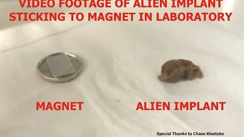 Video of Alien Implant Sticking to Magnet in Laboratory