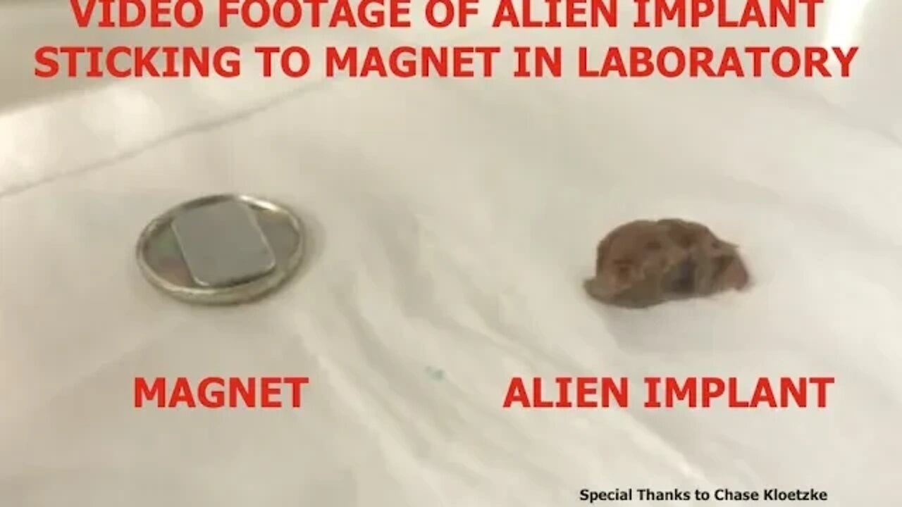 Video of Alien Implant Sticking to Magnet in Laboratory