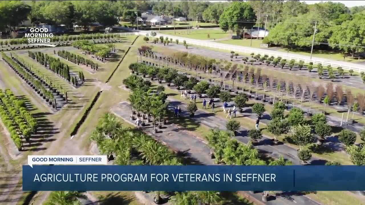 Hillsborough County hopes to connect military veterans to agriculture opportunities