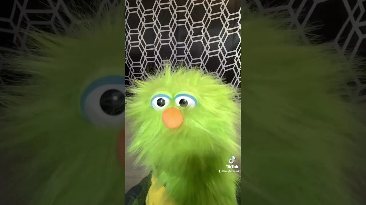 puppet finds $20