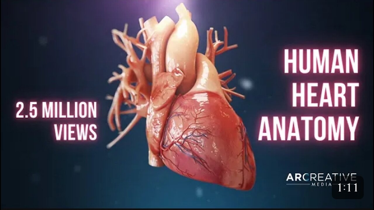 Human heart anatomy (3d medical animation )