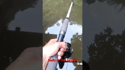 Fishing in an obscure pond