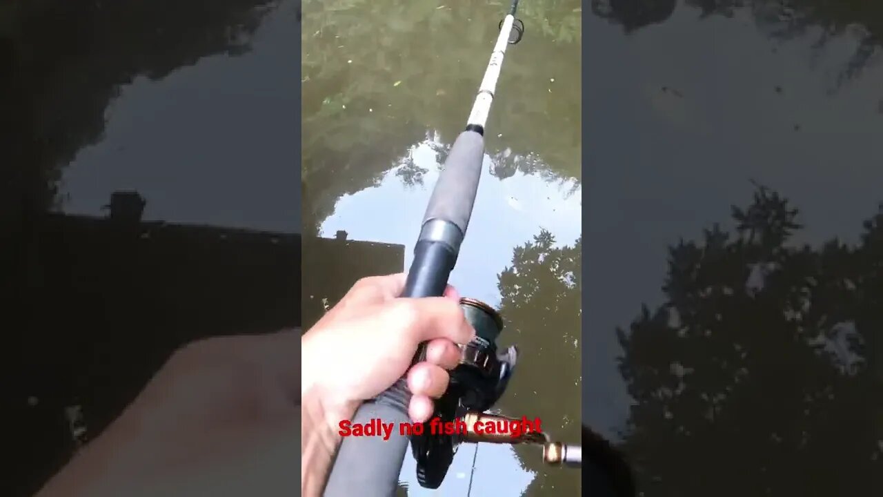 Fishing in an obscure pond