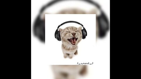 Cats sound