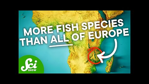 A Fish In This Lake Evolved Into 850 Different Species