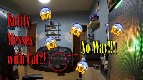 Entity Messes with Cat?! 😱