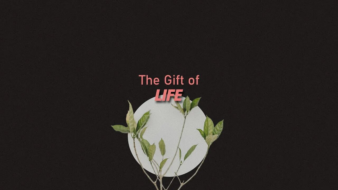 August 28 2022: The Gift of Life