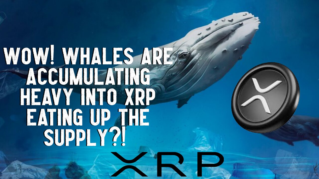 WOW! Whales Are Accumulating HEAVY Into XRP EATING Up The SUPPLY?!