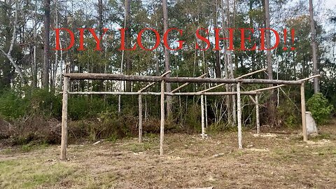 How To Build A DIY Log Shed From Trees On The Homestead!