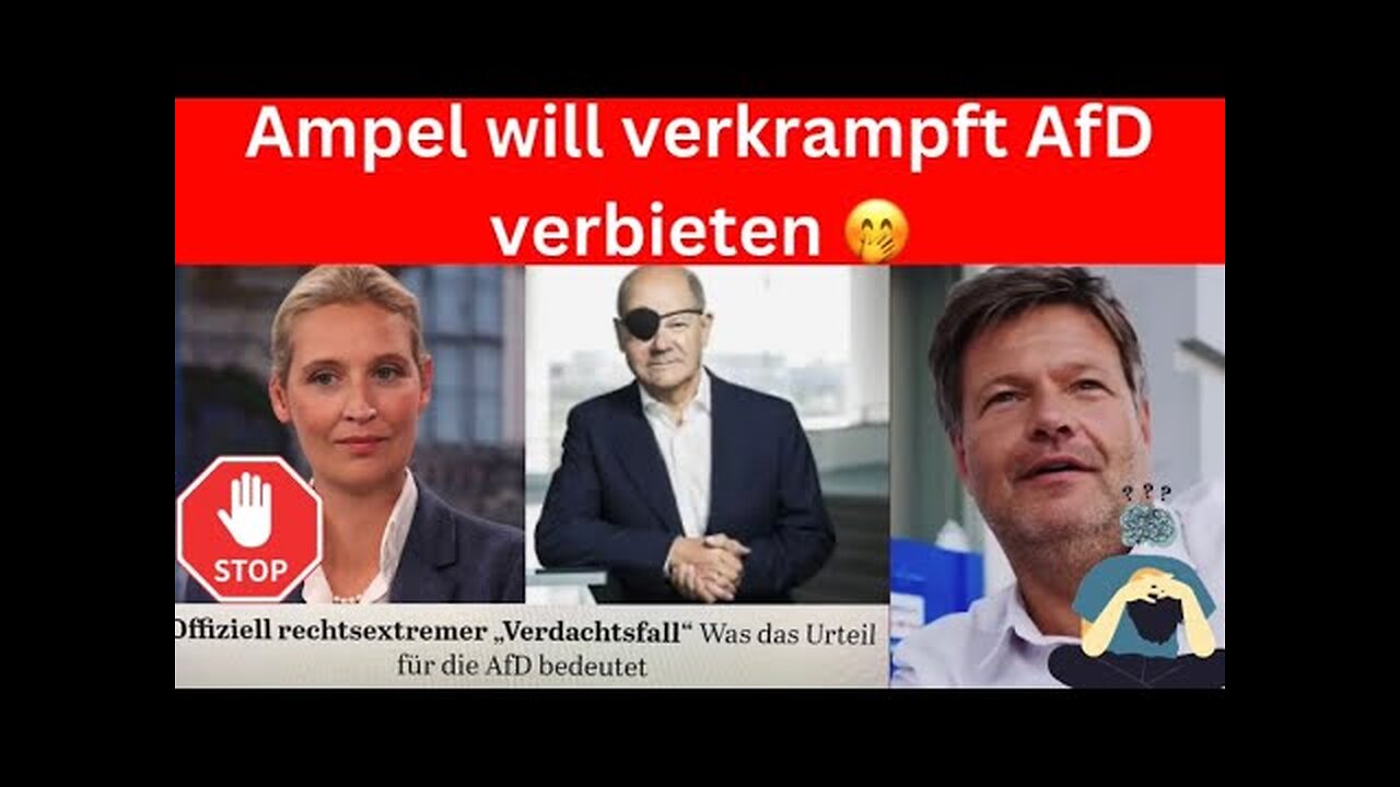 Alice Weidel: Kontroverse Pro Russland Aussagen. Jetzt will die Ampel AfD verbieten 🤡🙈