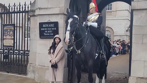 The kings guard knows how to get the tourist attention 😆 🤣 😂 #horseguardsparade