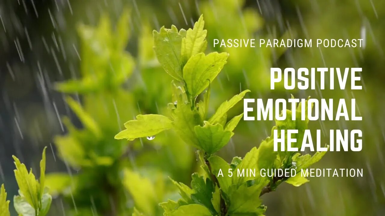 Guided Meditation for Positive Emotional Healing - Passive Paradigm Podcast Ep. 1